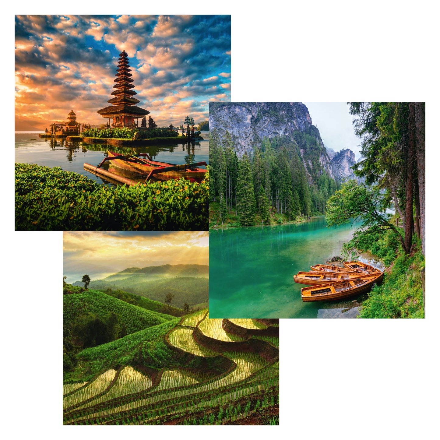 Living Collect. 3x Asien