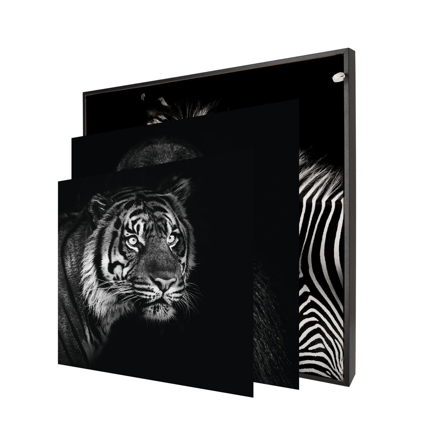 Informa LC - Rahmen sw + 3x Tiere Afrika