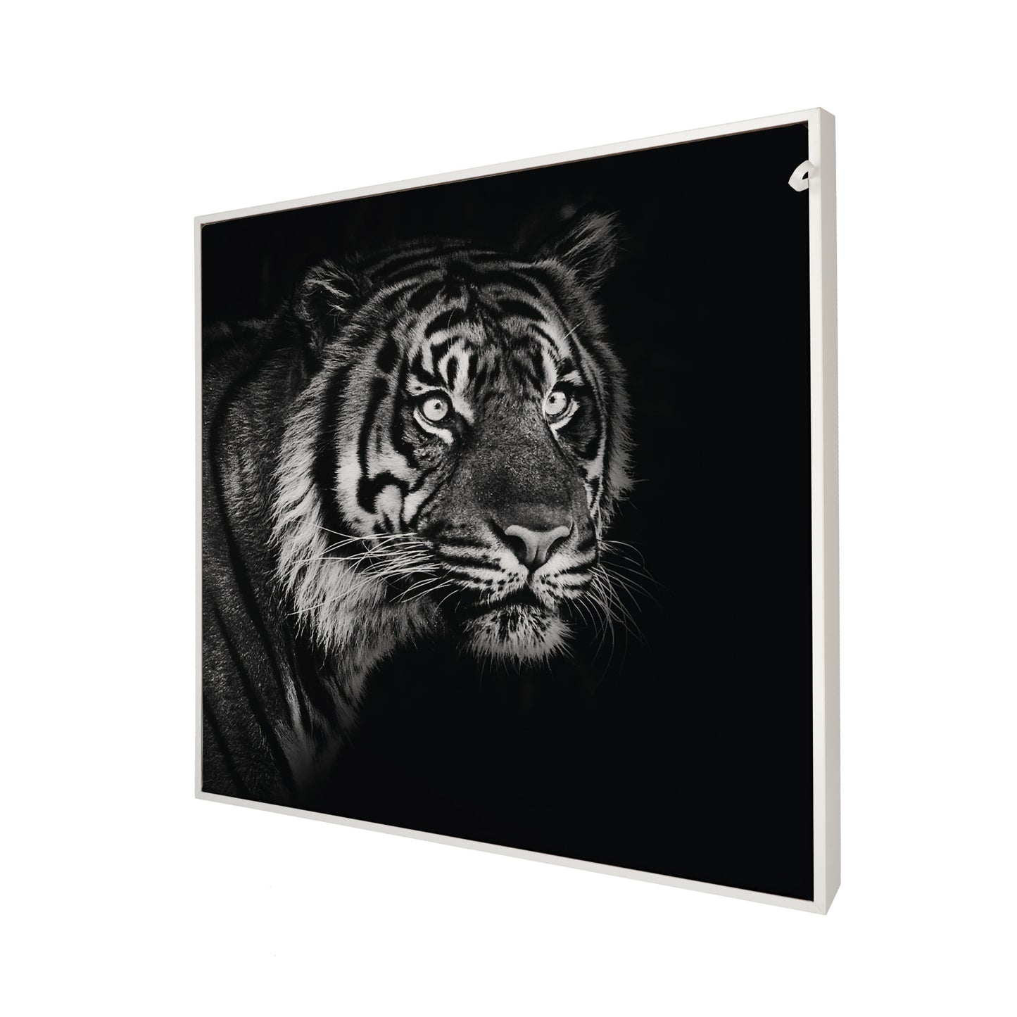 Informa LC - Rahmen ws + 3x Tiere Afrika
