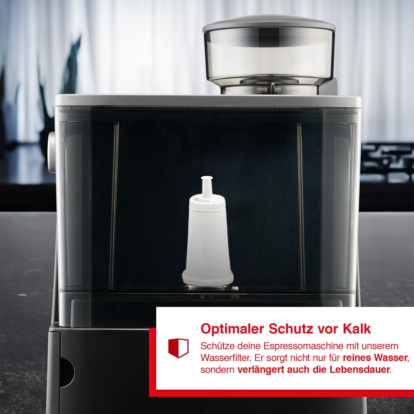CLARIS Wasserfilter (2er Set)