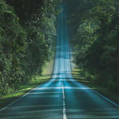 Informa 3 Rahmenbezug für LED Bilderrahmen, Motiv Natur