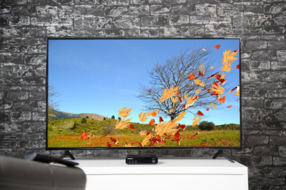 Humax Humax HD Fox