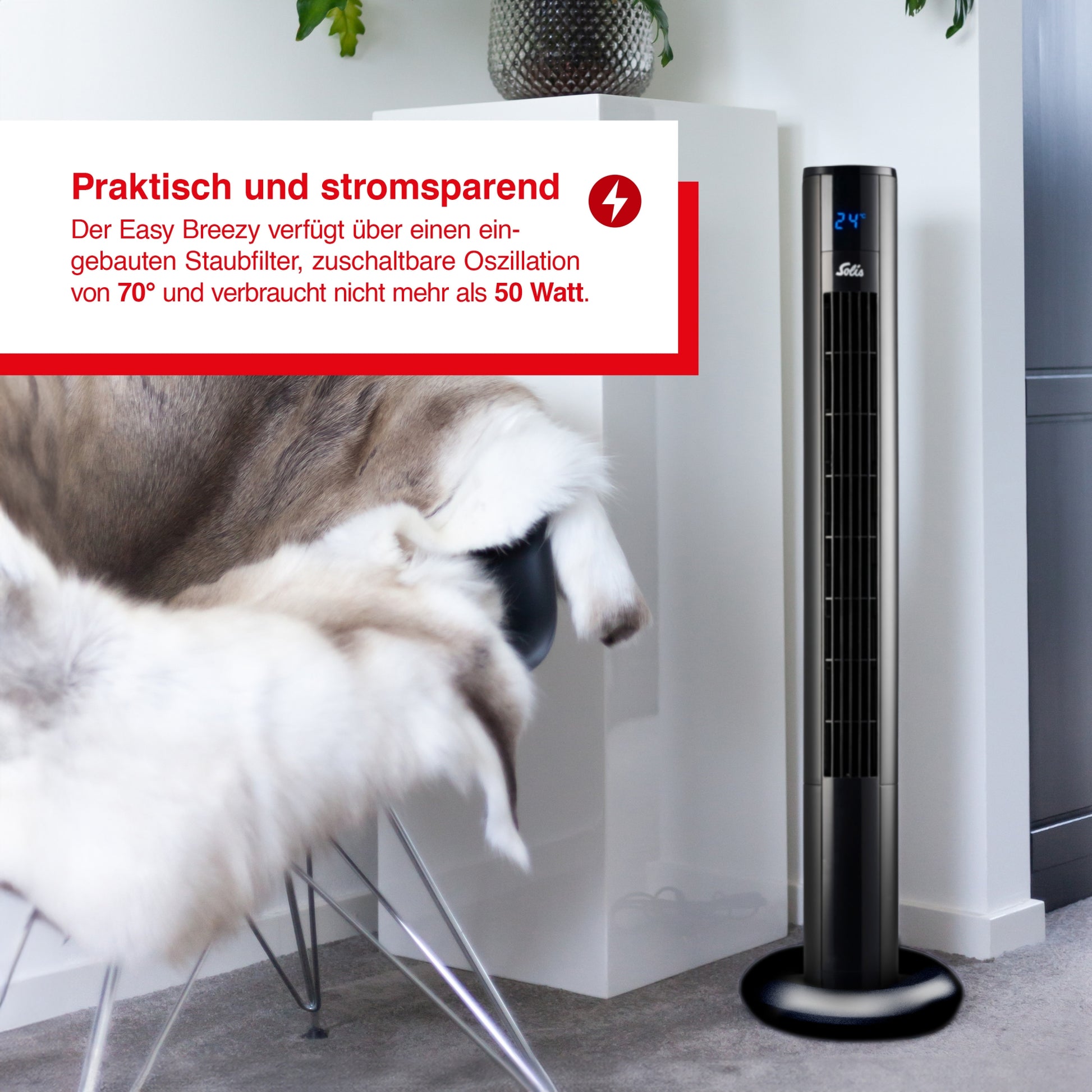 schwarz